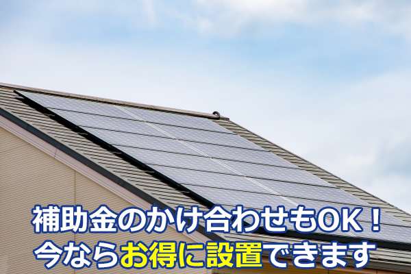 L1.�~�d�r ��p����